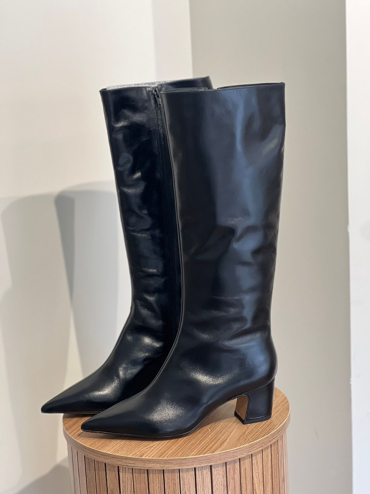 BOTA CANO LONGO BICO FINO