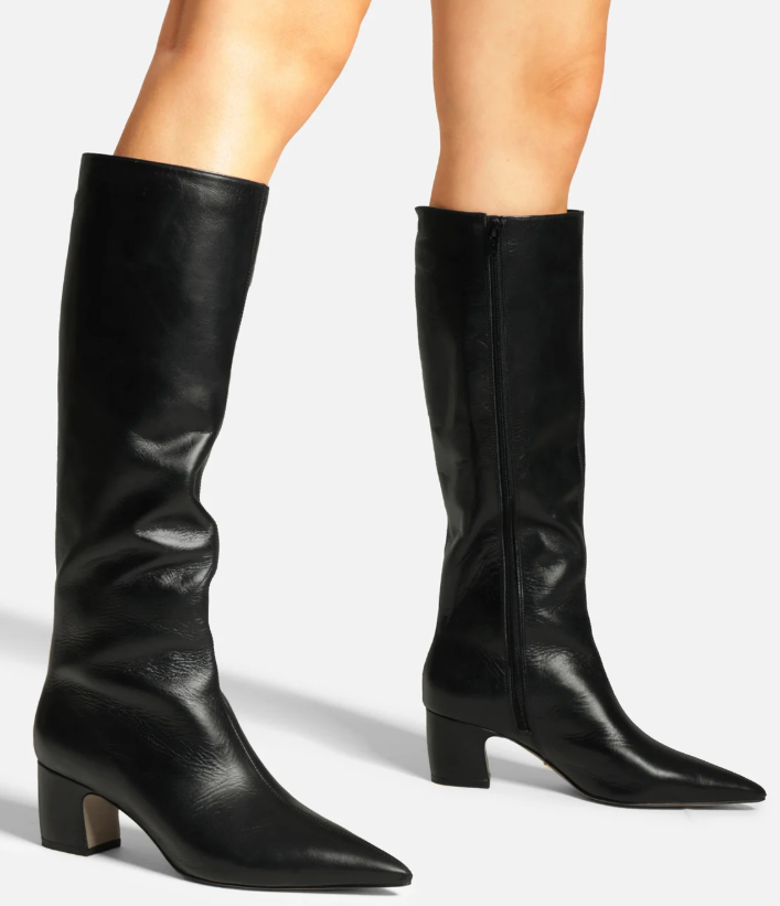 BOTA CANO LONGO BICO FINO