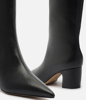 BOTA CANO LONGO BICO FINO