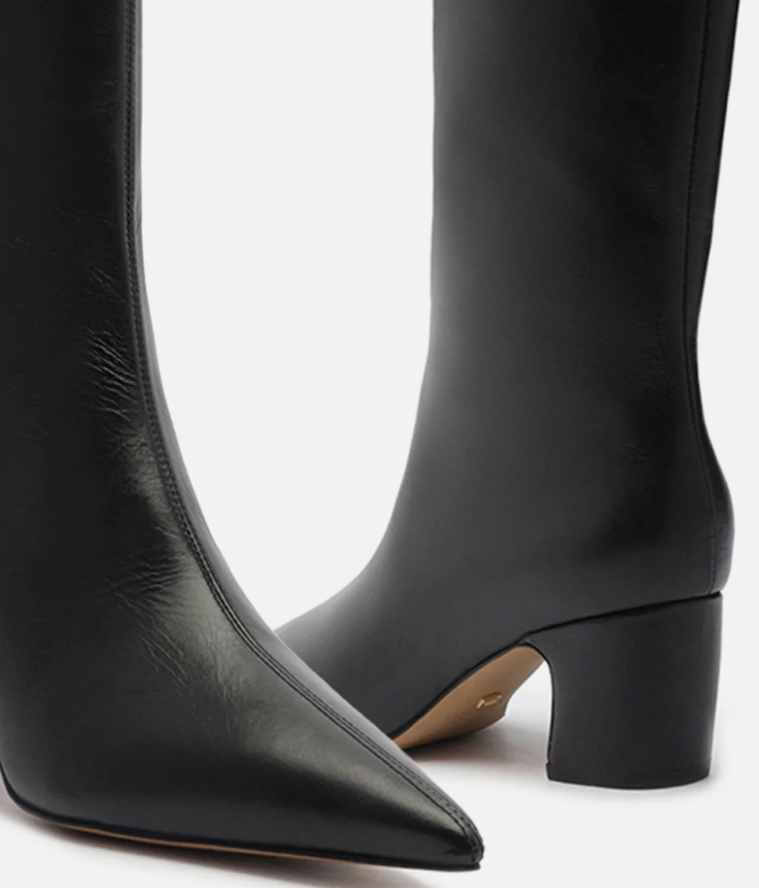 BOTA CANO LONGO BICO FINO
